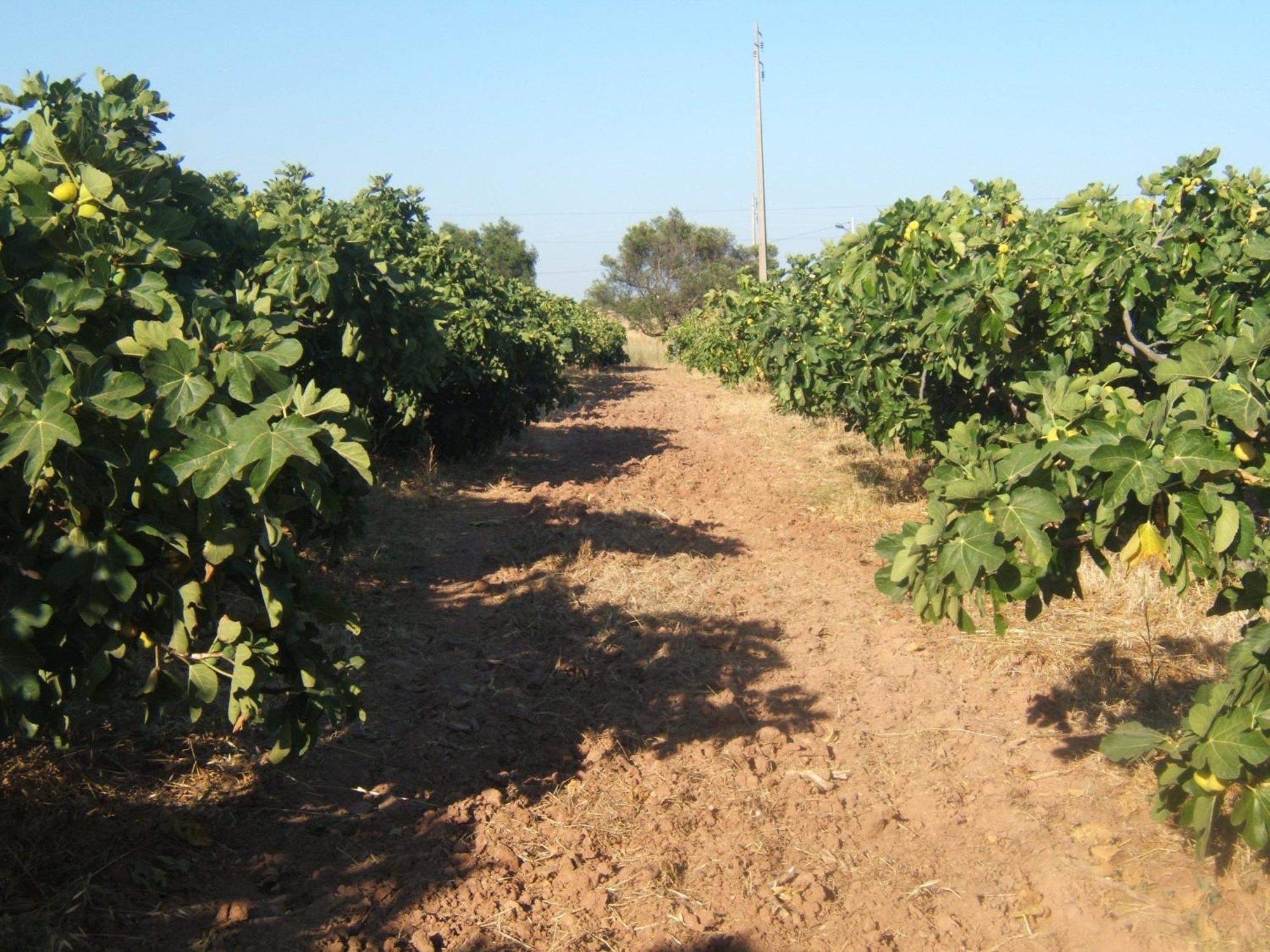 Quinta Da Fornalha - Santuario Agroecologico Villa คาสโตรมาริม ภายนอก รูปภาพ
