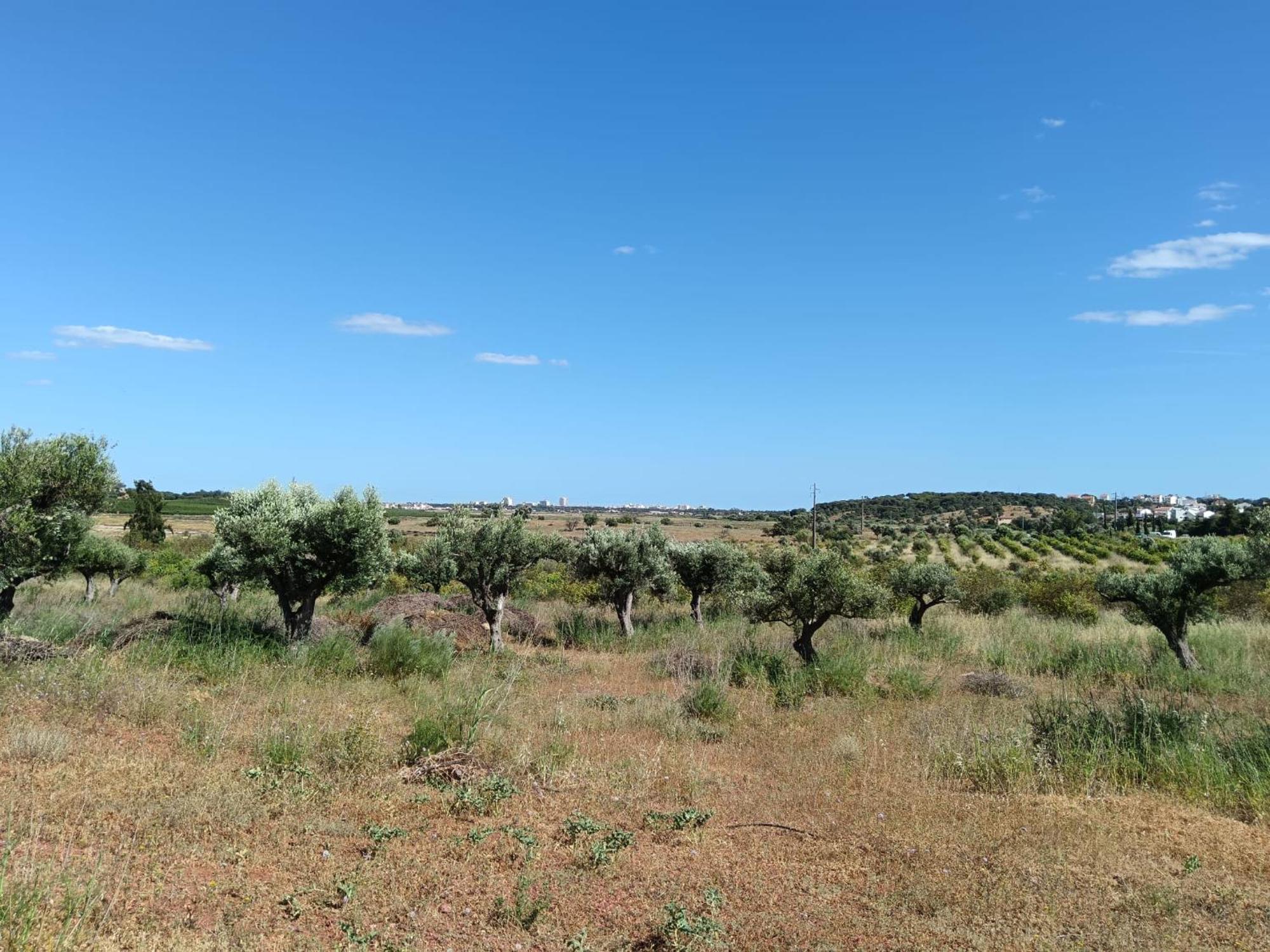 Quinta Da Fornalha - Santuario Agroecologico Villa คาสโตรมาริม ภายนอก รูปภาพ
