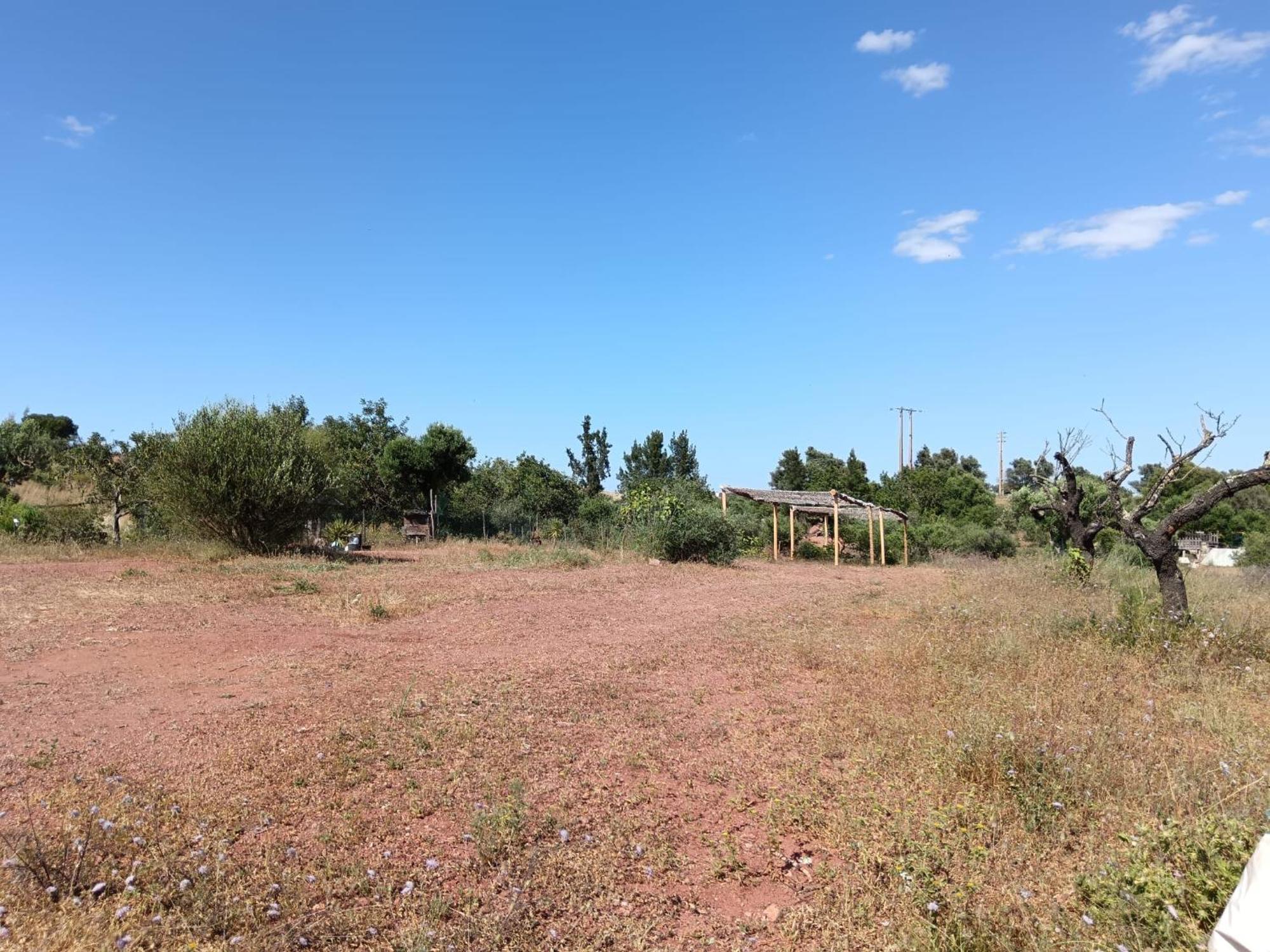 Quinta Da Fornalha - Santuario Agroecologico Villa คาสโตรมาริม ภายนอก รูปภาพ