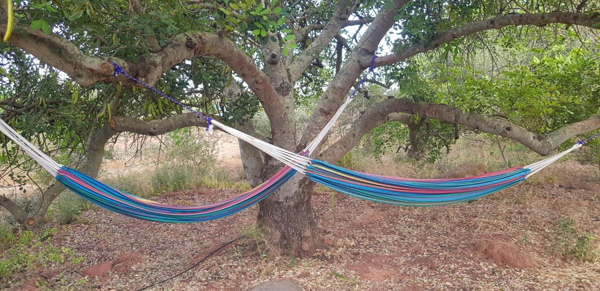 Quinta Da Fornalha - Santuario Agroecologico Villa คาสโตรมาริม ภายนอก รูปภาพ