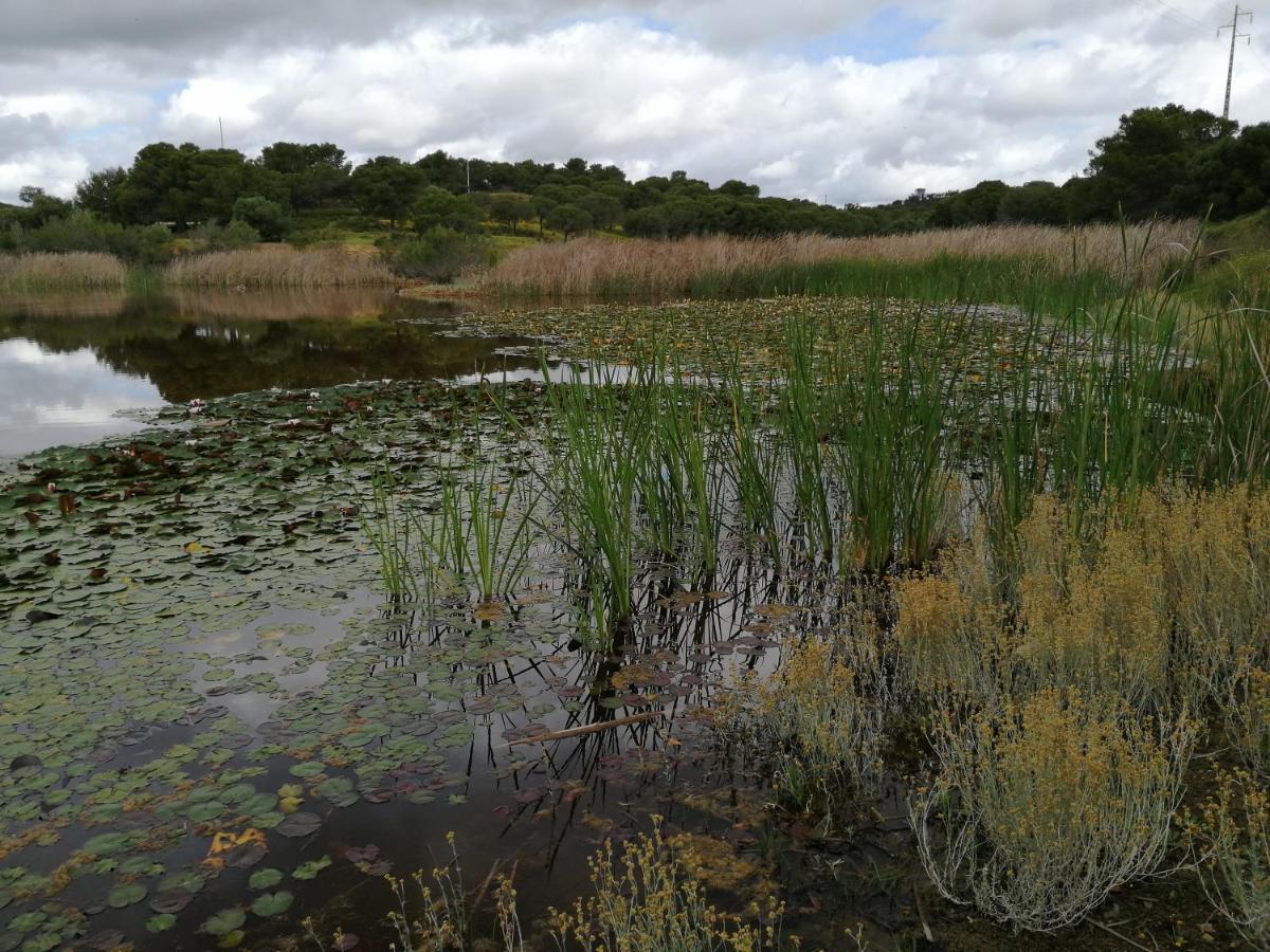 Quinta Da Fornalha - Santuario Agroecologico Villa คาสโตรมาริม ภายนอก รูปภาพ